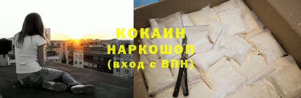 прущие грибы Ростов