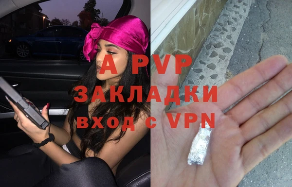 прущие грибы Ростов