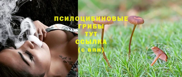 ECSTASY Абдулино